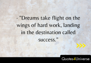 Inspirational Quotes About Success And Hard Work.