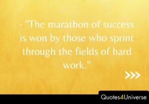 Inspirational Quotes About Success And Hard Work.